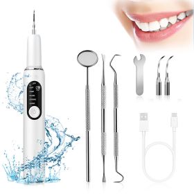 Wholesale hot-selling ultrasonic dental cleaner for removing plaque and tartar, water flosser, removes tea and smoke stains, electric teeth whitening